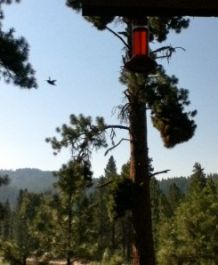 Photo courtesy of Rory Hartley.